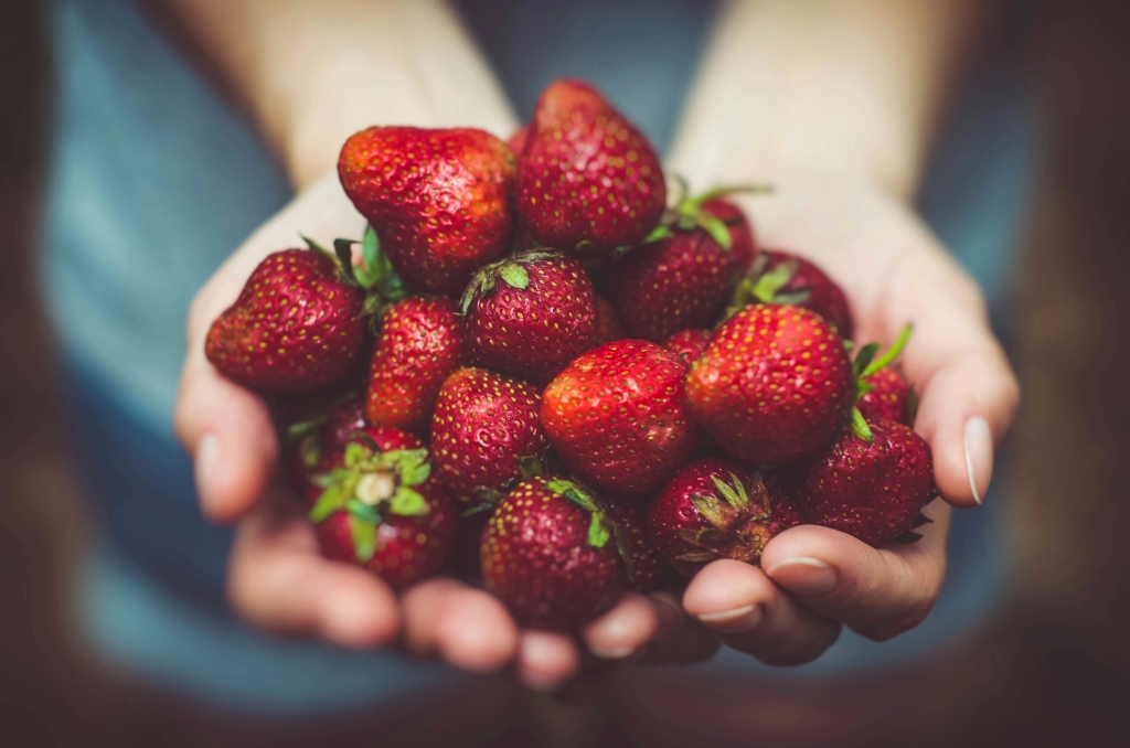 a person holding a handful of strawberries 